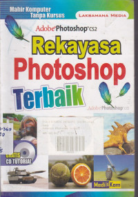 Rekayasa Photoshop Terbaik: Mahir Komputer Tanpa Kursus
