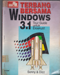 Terbang Bersama Windows 3.1: Tour Guide Untuk Eksekutif