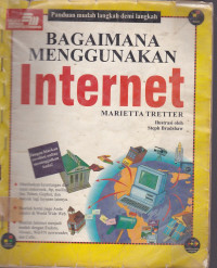 Bagaimana Menggunakan Internet