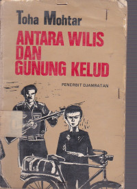 Antara Wilis dan Gunung Kelud