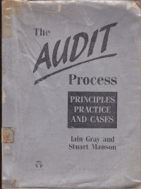 The Audit Process: Principles, Practice and Cases